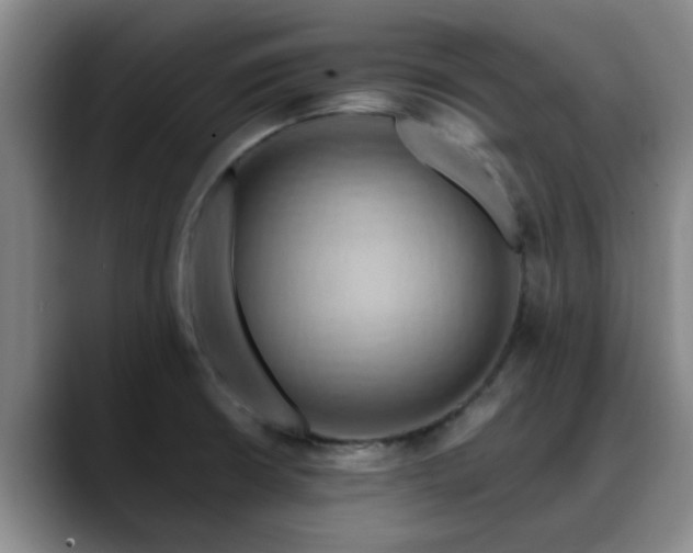 X0000088861426200706151728