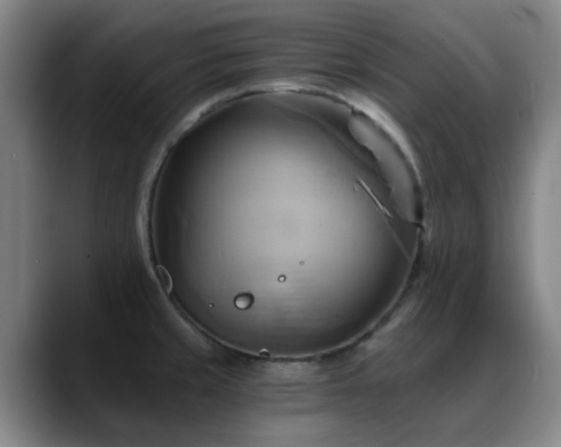 X0000088861429200706151728