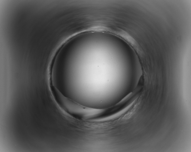 X0000088861430200706151728