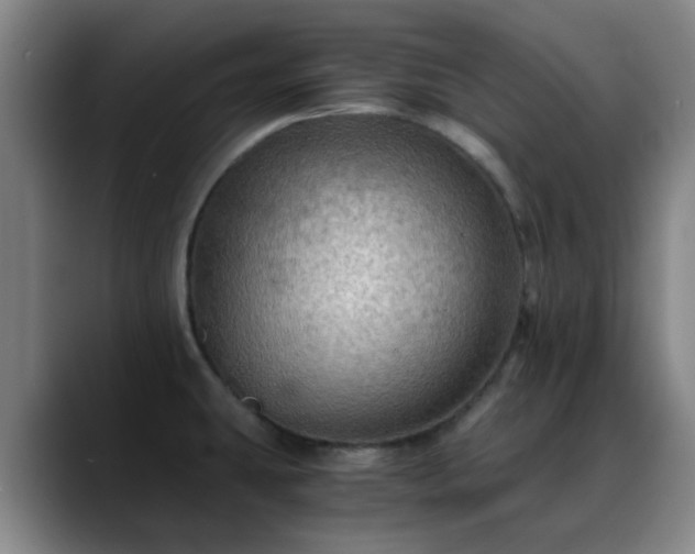 X0000088861431200706151728