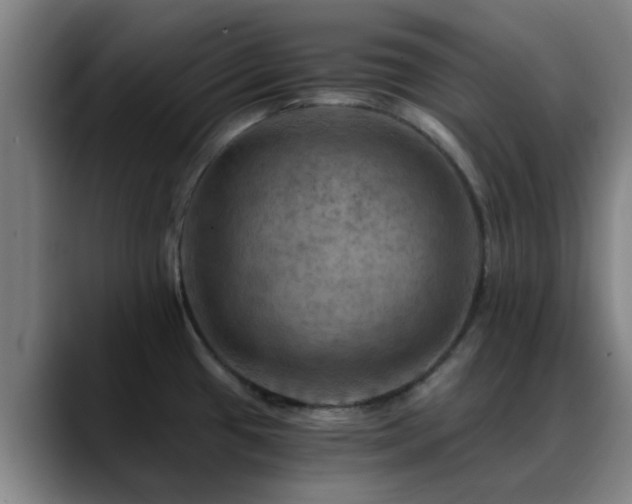 X0000088861433200706151728