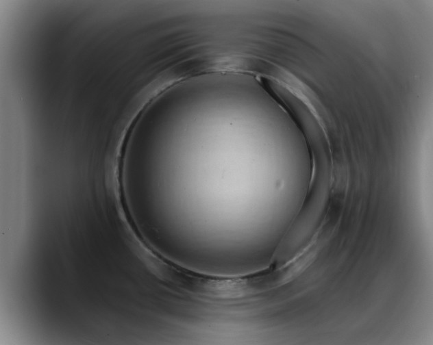 X0000088861434200706151728