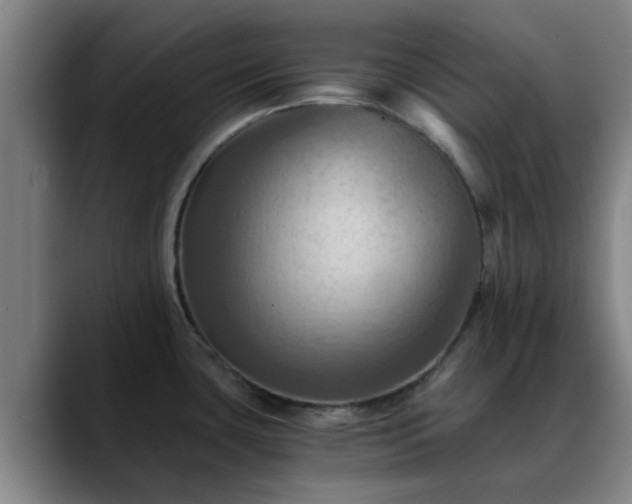 X0000088861435200706151728