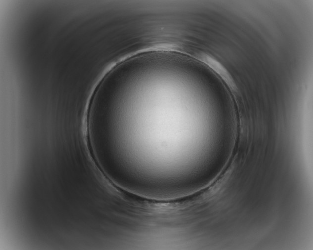 X0000088861436200706151728