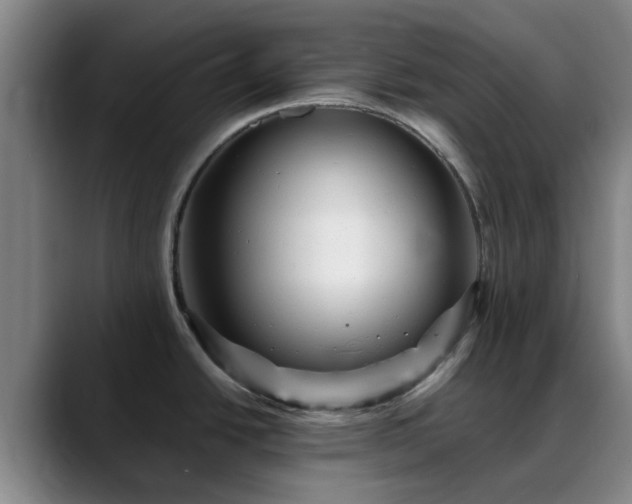 X0000088861438200706151728