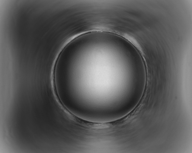 X0000088861440200706151728