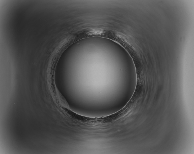 X0000088861441200706151727