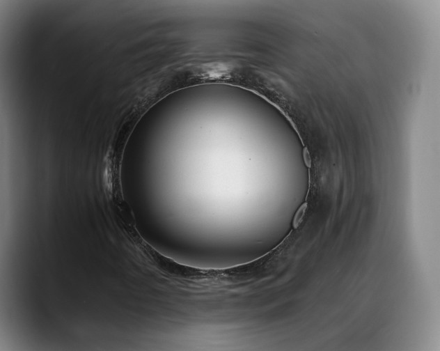 X0000088861442200706151727