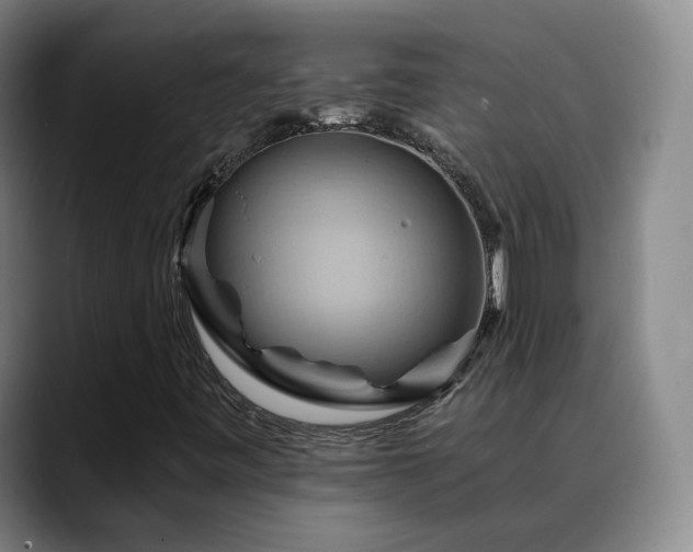 X0000088861443200706151727