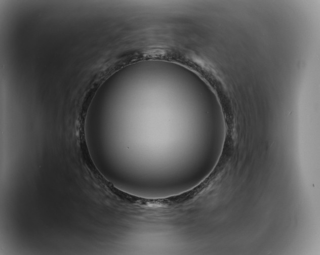 X0000088861445200706151727