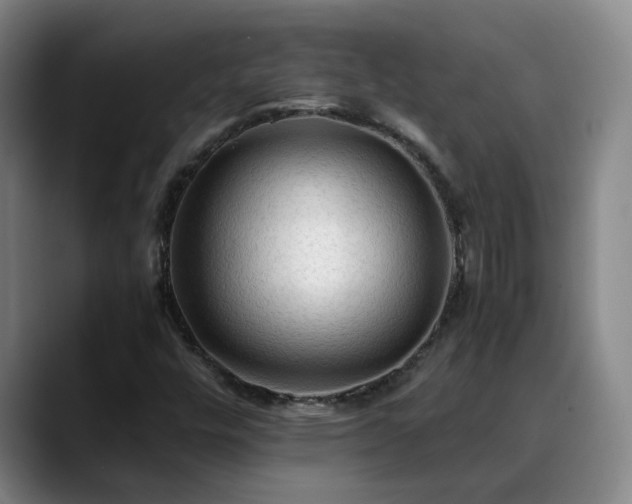 X0000088861448200706151727
