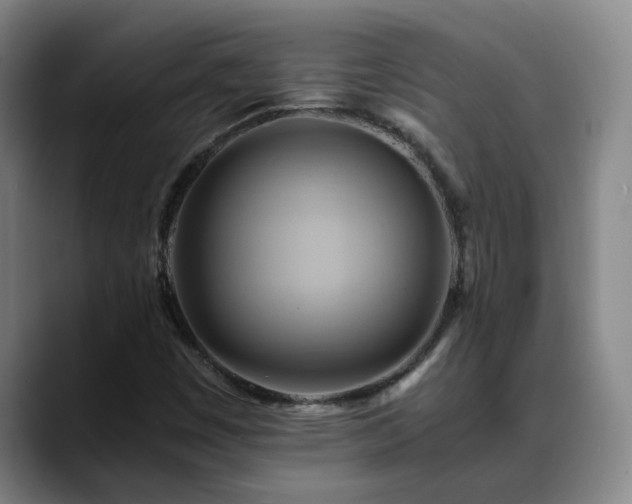 X0000088861449200706151727