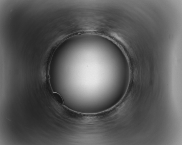 X0000088861451200706151727