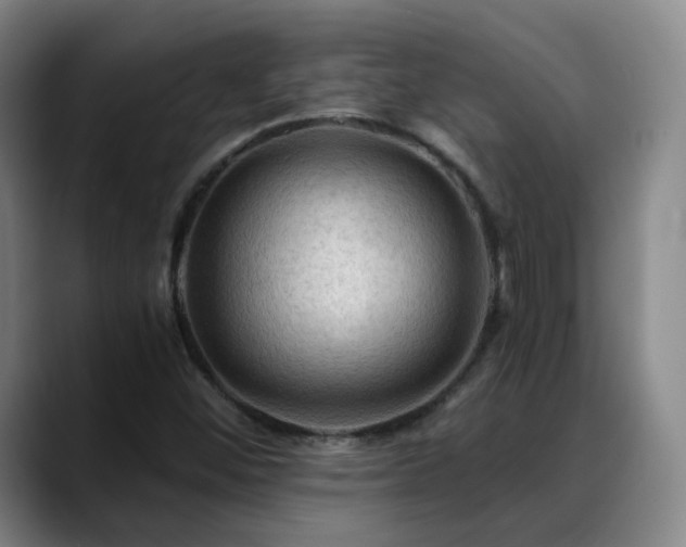 X0000088861452200706151727