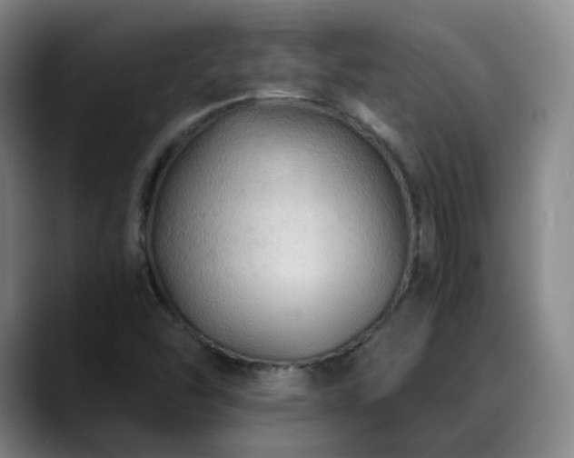 X0000088861454200706151727