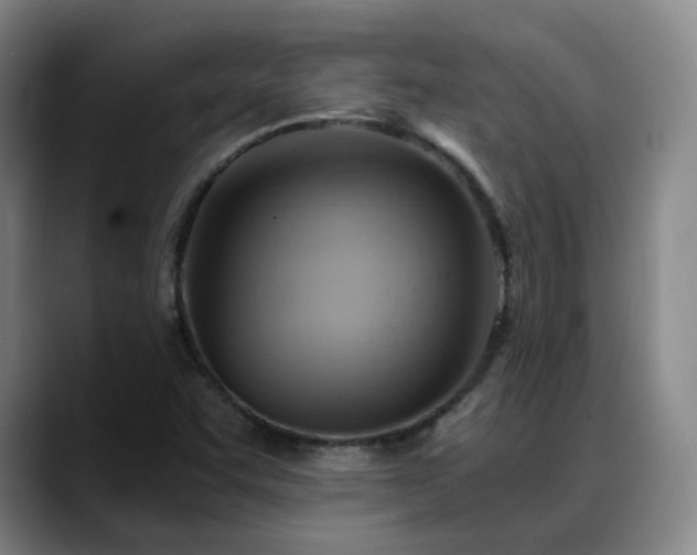 X0000088861455200706151727