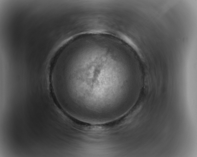 X0000088861456200706151727
