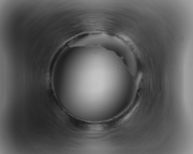 X0000088861457200706151727