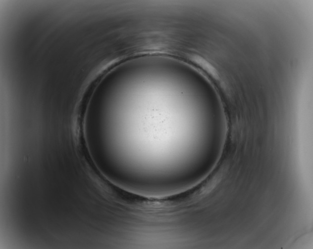 X0000088861458200706151727