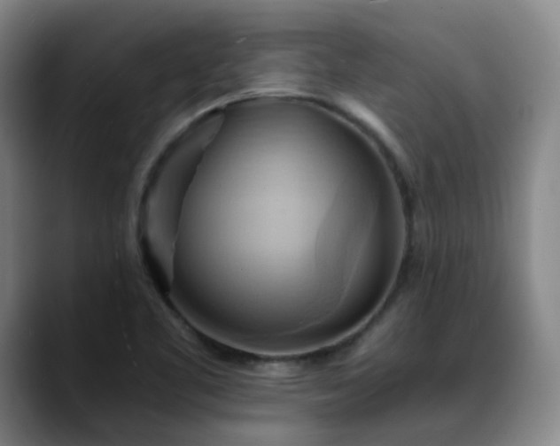 X0000088861461200706151727