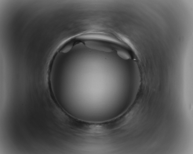 X0000088861463200706151727