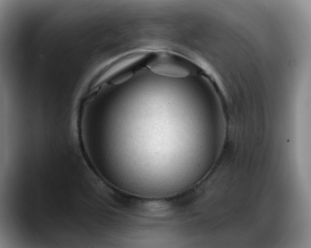 X0000088861464200706151727