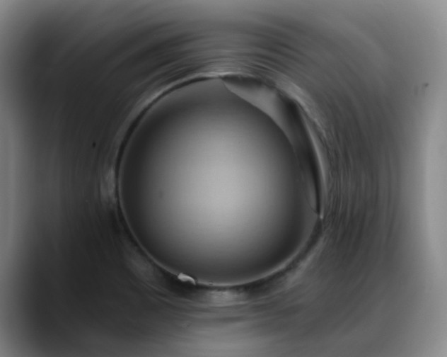 X0000088861465200706151727