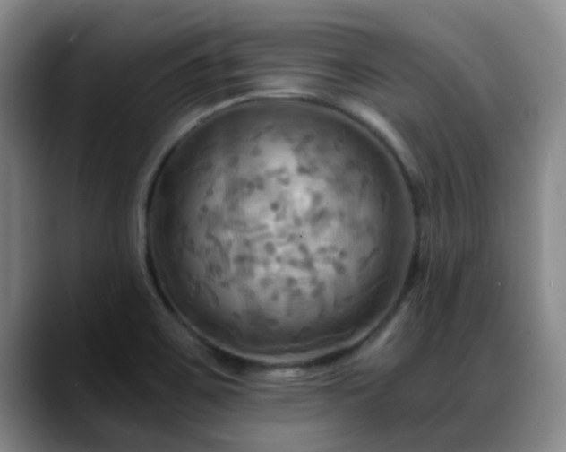 X0000088861467200706151727