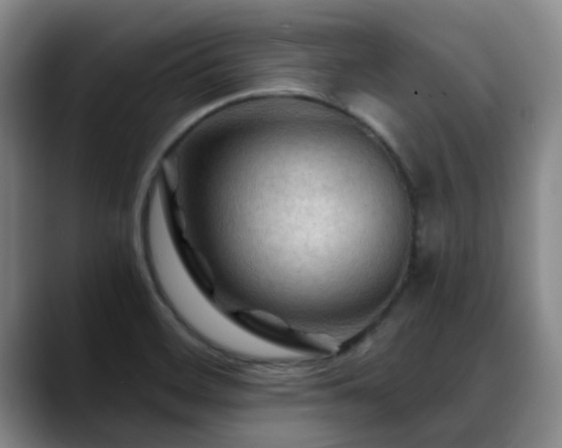 X0000088861468200706151727