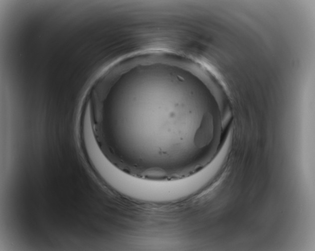 X0000088861469200706151727