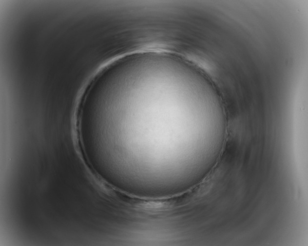 X0000088861470200706151727