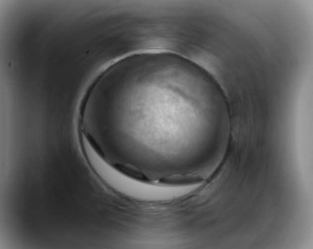 X0000088861472200706151727