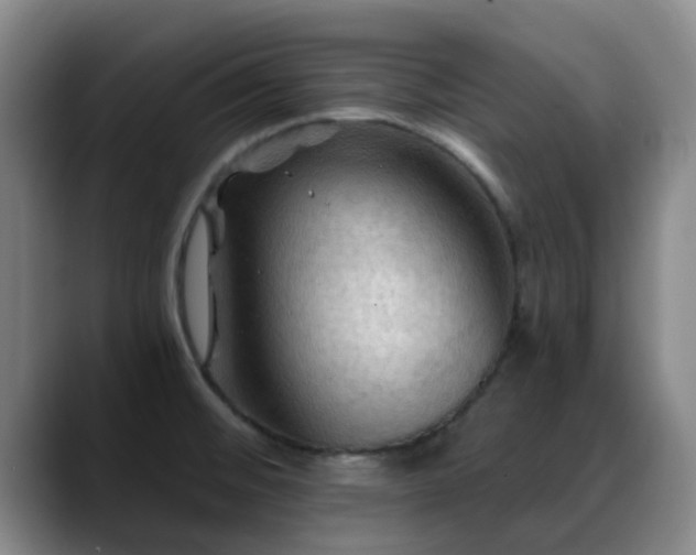 X0000088861476200706151727