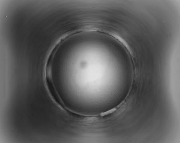 X0000088861477200706151727