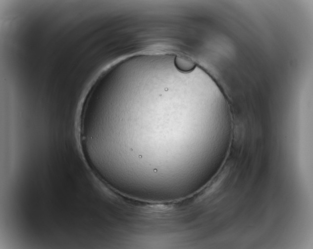 X0000088861478200706151727