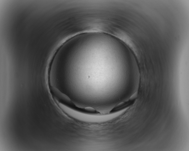 X0000088861480200706151727