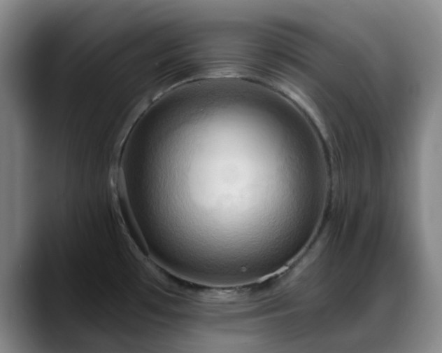 X0000088861481200706151727