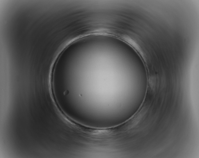 X0000088861482200706151727