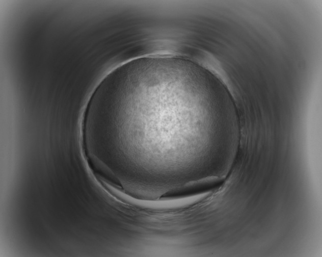 X0000088861483200706151727
