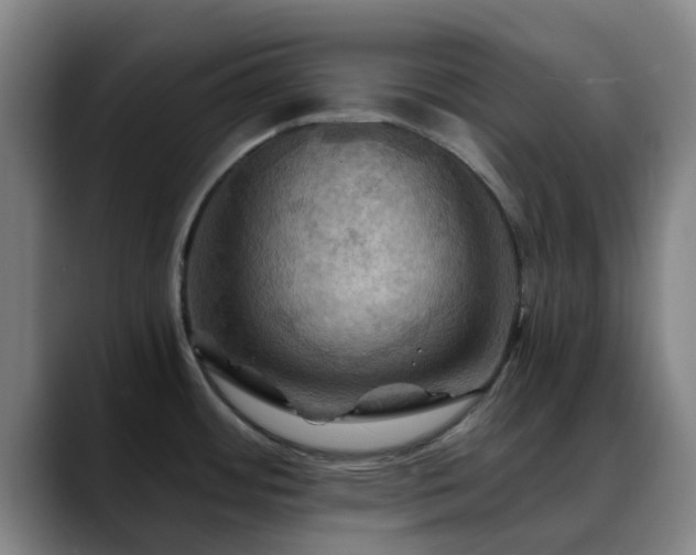 X0000088861484200706151727