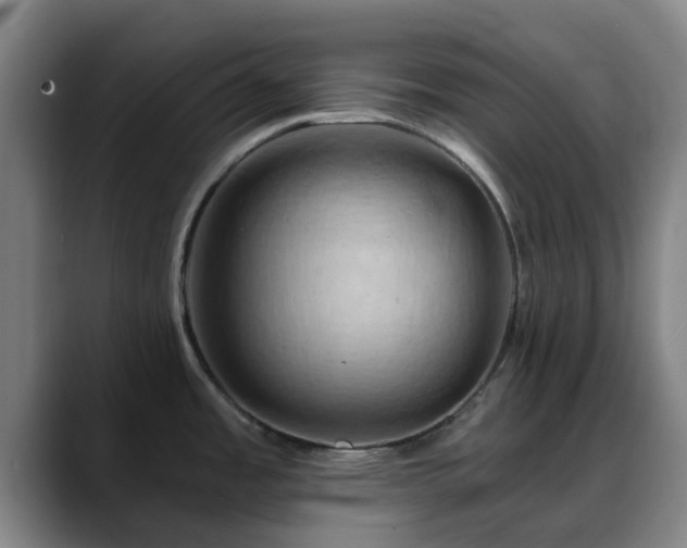 X0000088861485200706151727
