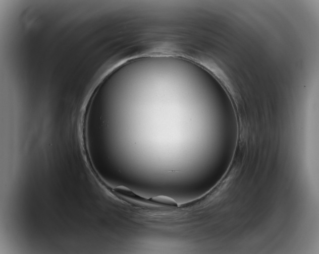 X0000088861486200706151727