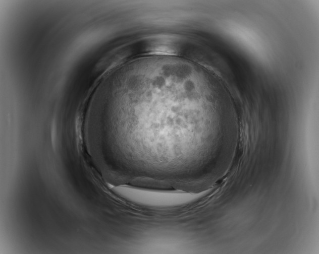 X0000088861487200706151727