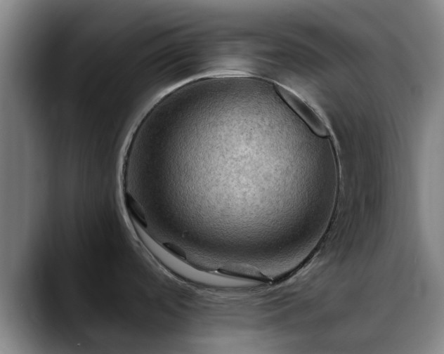 X0000088861488200706151727
