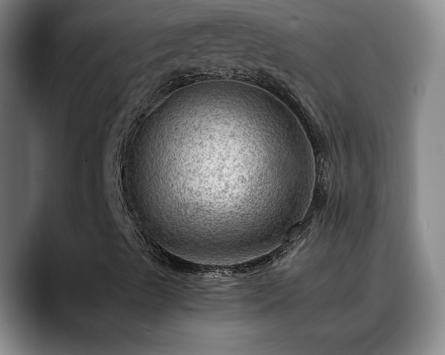 X0000088861489200706151726