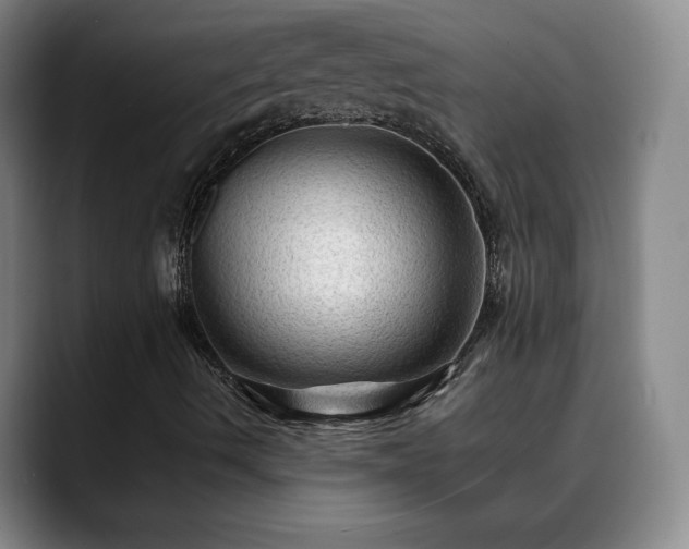 X0000088861490200706151726