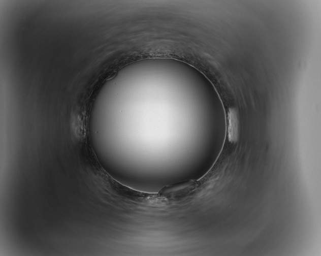 X0000088861491200706151726
