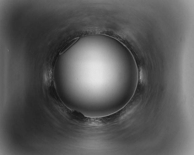 X0000088861492200706151726