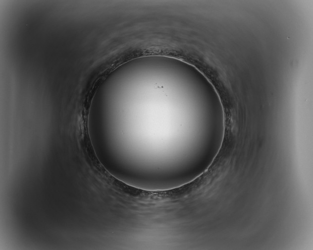 X0000088861493200706151726
