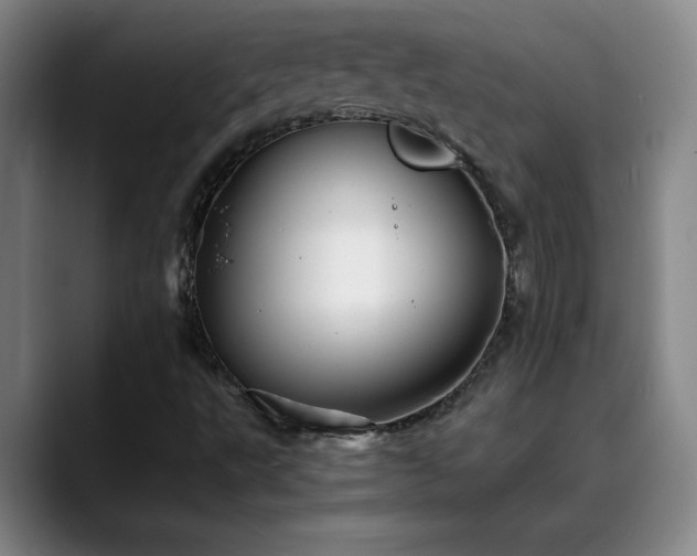 X0000088861495200706151726